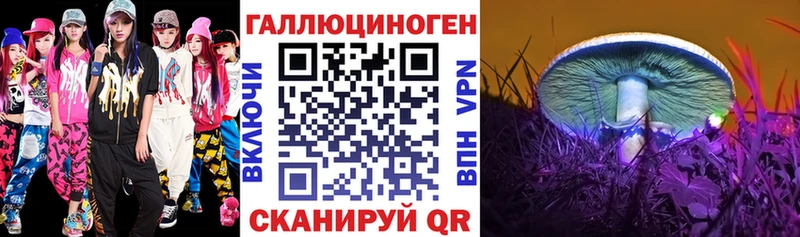 hydra онион  Урень  Галлюциногенные грибы мухоморы  что такое  
